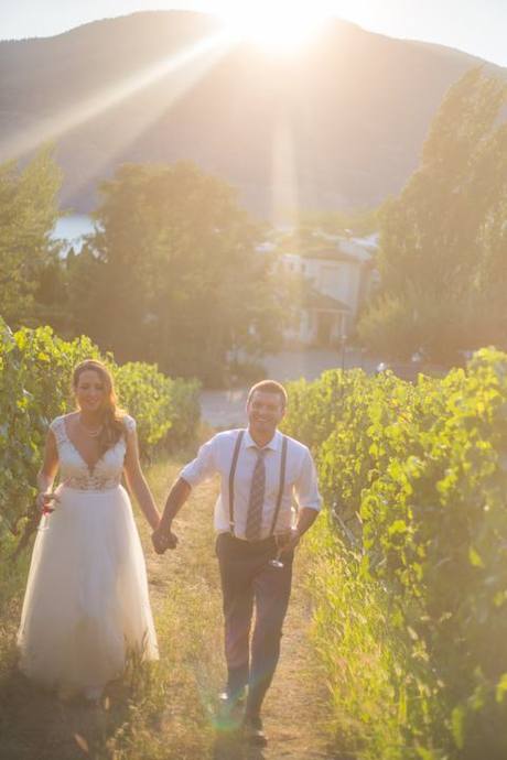 Bride and groom walking hand in hand between sunlit vineyard rows at golden hour